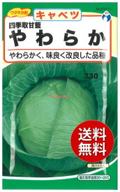 【代引不可】【送料5袋まで80円】 seed たね tane 種 種子　□四季取甘藍やわらかキャベツ ◇種子種子 キャベツ 種種子 ウタネ四季取甘藍やわらかキャベツ種子種子 キャベツ 種種子 ウタネ seed たね tane 種 種子四季取