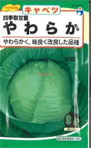 yszy5܂܂80~z seed  tane  q@lG×炩Lxc qq Lxc q E^llG×炩Lxcqq Lxc q E^l seed