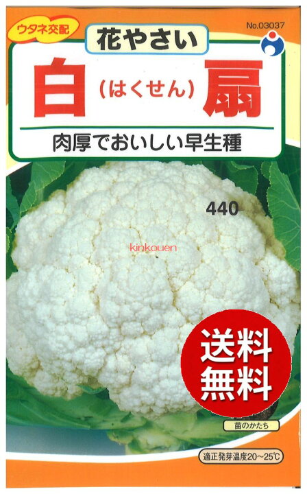 楽天市場 1 2 5 代引不可 送料5袋まで80円 白扇ｶﾘﾌﾗﾜｰ 花やさい 錦幸園 楽天市場店