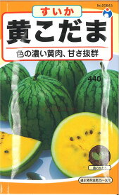 【代引不可】【送料5袋まで80円】 □黄こだますいか