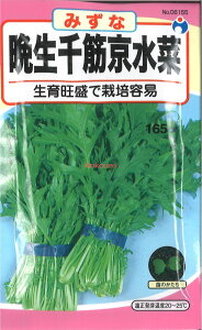 yszy5܂܂80~z seed  tane  q@Ӑ؋ qq t  q E^lӐ؋؎qq t  q E^l seed  tane  qӐ