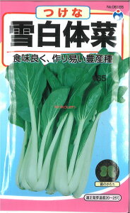 yszy5܂܂80~z seed  tane  q@ᔒ̍؃ZbpN^CTCێq؃VNVipN`C qq t  q E^lᔒ̍؃ZbpN^CTCێq؃V