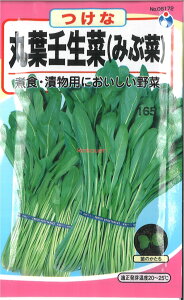 yszy5܂܂80~z seed  tane  q@ۗtp؂݂ԍ qq t  q E^lۗtp؂݂ԍ؎qq t  q E^l seed  tane  q