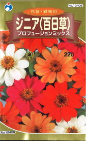 【代引不可】【送料5袋まで80円】 □ジニア 百日草 プロフュージョンミックス