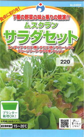 【代引不可】【送料5袋まで80円】◇ seed たね tane 種 種子 タネ □ムスクランサラダセット■種子 葉野菜 他 種ハーブ 種種子 ブロッコリー カリフラワー レタス 種種子 ウタネ 種子 葉野菜 他 種ハーブ 種種子 ブロッコリー カ