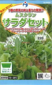 yszy5܂܂80~z seed  tane  q@XNT_Zbg qq t  q E^lXNT_Zbgqq t  q E^l seed  ta