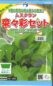 yszy5܂܂80~z seed  tane  q@XN؁XʃZbg qq t  q E^lXN؁XʃZbgqq t  q E^l seed  ta