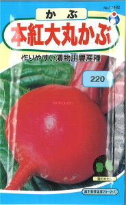 【代引不可】【送料5袋まで80円】 □本紅大丸かぶ