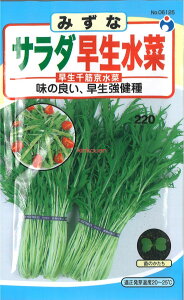 yszy5܂܂80~z ݂ T_ ؋