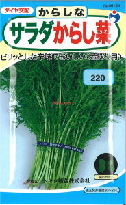 yszy5܂܂80~z seed  tane  q@T_炵 qq t  q E^lT_炵؎qq t  q E^l seed  tane  qT_