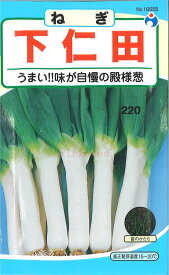 【代引不可】【送料5袋まで80円】 □下仁田ねぎ