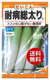 【代引不可】 【送料無料】seed たね tane 種 種子□耐病総太り大根 ◇種子種子 大根 カブ 種耐病総太り大根種子種子 大根 カブ 種 seed たね tane 種 種子耐病総太り大根種子種子 大根 カブ 種 seed たね tan