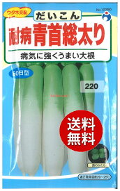 【代引不可】 【送料無料】seed たね tane 種 種子□耐病青首総太り大根 ◇種子種子 大根 カブ 種耐病青首総太り大根種子種子 大根 カブ 種 seed たね tane 種 種子耐病青首総太り大根種子種子 大根 カブ 種 seed