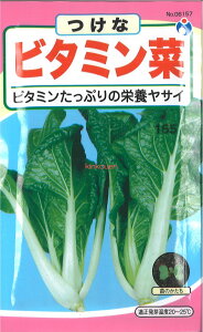 yszy5܂܂80~z seed  tane  q@r^~ qq t  q E^lr^~؎qq t  q E^l seed  tane  qr^~؎q