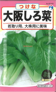 yszy5܂܂80~z seed  tane  q@サ qq t  q E^lサ؎qq t  q E^l seed  tane  qサ؎q