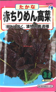 yszy5܂܂80~z seed  tane  q@Ԃ߂񍂍 qq t  q E^lԂ߂񍂍؎qq t  q E^l seed  tane  qԂ