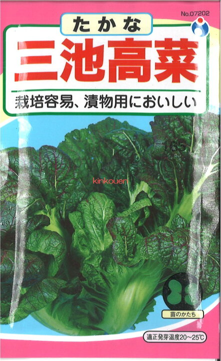 楽天市場 2 9 5 代引不可 送料5袋まで80円 三池高菜 たか菜の種 高菜の種タカナの種 大芥菜の種 カラシナの種 葉野菜の種 Seed たね Tane 種 種子 葉野菜 他の種 ポイント消 錦幸園 楽天市場店