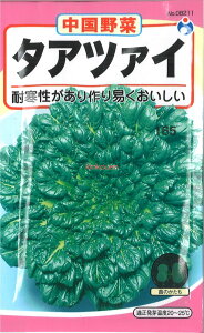 yszy5܂܂80~z seed  tane  q@^Ac@C^ATC@؃LTMi qq t  q E^l^Ac@C^ATC@؃LTMiqq t 