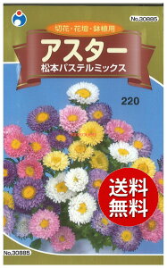 �y����s�z seed ���� tane �� ��q�@���A�X�^�[���{�p�X�e���~�b�N�X ����q��q �� ���q �E�^�l�A�X�^�[���{�p�X�e���~�b�N�X��q��q �� ���q �E�^�l seed ���� tane �� ��q�A�X�^�[��