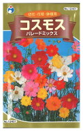 【代引不可】【送料10袋まで80円】 seed たね tane 種 種子　□コスモスパレードミックス ◇種子種子 花 …