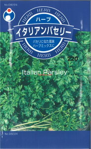 yszy5܂܂80~z seed  tane  q@n[uC^ApZ[ qq n[u q E^ln[uC^ApZ[qq n[u q E^l seed  tane