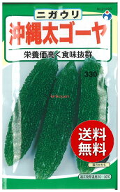 【代引不可】 □ 沖縄太ゴーヤにがうり