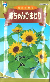 【代引不可】【送料5袋まで80円】◇ seed たね tane 種 種子 タネ □赤ちゃんひまわり■花 種種子 ウタネ 花 種種子 ウタネ 花 種種子 ウタネ 花 種種子 ウタネ 花 種種子 ウタネ 花 種種子 ウタネ 花 種種子 ウタネ 花 種種