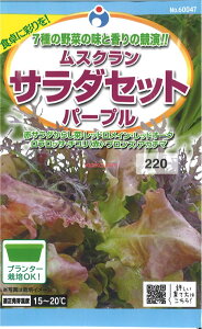 yszy5܂܂80~z seed  tane  q@XNT_Zbgp[v qq t  q E^lXNT_Zbgp[vqq t  q 