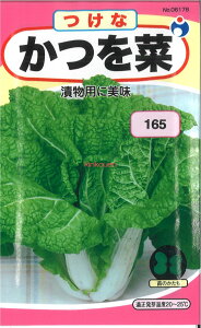 yszy5܂܂80~z seed  tane  q@؂Ȋ qq t  q E^l؂Ȋ؎qq t  q E^l seed  tane 