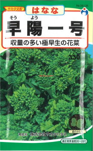 yszy5܂܂80~z seed  tane  q@zꍆ qq t  q E^lzꍆqq t  q E^l seed  tane  qzꍆqq t