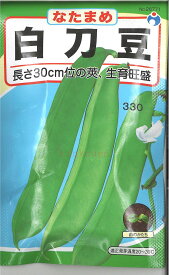 【代引不可】【送料5袋まで80円】 □白刀豆　シロナタマメ