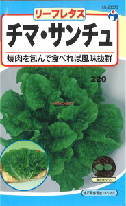 yszy5܂܂80~z `}ET`