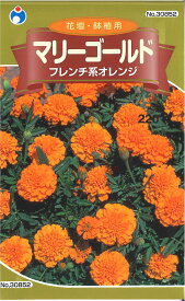 【代引不可】【送料5袋まで80円】 □マリーゴールド フレンチ系オレンジ