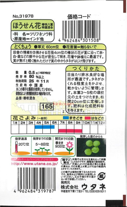 【代引不可】【送料5袋まで80円】◇ seed たね tane 種 種子 タネ ほうせん花椿咲八重特選花 種種子 ウタネ 花 種種子 ウタネ 花 種種子 ウタネ 花 種種子 ウタネ 花 種種子 ウタネ 花 種種子 ウタネ 花 種種子 ウタネ 花 錦幸園 ◇ seed たね tane 種 種子 タネ けいとうマルチカラーミックス■花 種種子 ウタネ 花 種種子 ウタネ 花 種種子 ウタネ 花 種種子 ウタネ 花 種種子 ウタネ 花 種種子 ウタネ 花 種種子 ウタ