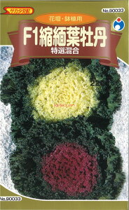 yszy5܂܂80~z n{^@F1kɗtO I