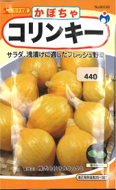 【代引不可】【送料5袋まで80円】 seed たね tane 種 種子　□コリンキーかぼちゃ ◇種子種子 カボチャ 種コリンキーかぼちゃ種子種子 カボチャ 種 seed たね tane 種 種子コリンキーかぼちゃ種子種子 カボチャ 種 see