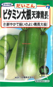 yszy5܂܂80~z seed  tane  q@r^~卪VÐ qq 卪 Ju q E^lr^~卪VÐqq 卪 Ju q E^l seed  tane 