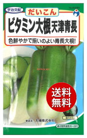 【代引不可】 【送料無料】seed たね tane 種 種子□ビタミン大根天津青長 ◇種子種子 大根 カブ 種ビタミン大根天津青長種子種子 大根 カブ 種 seed たね tane 種 種子ビタミン大根天津青長種子種子 大根 カブ 種
