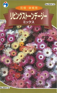 yszy5܂܂80~z seed  tane  q@rOXg[f[W[~bNX qq  q E^lrOXg[f[W[~bNXqq  q E^l seed