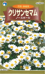 yszy5܂܂80~z NTZ} m[X|[