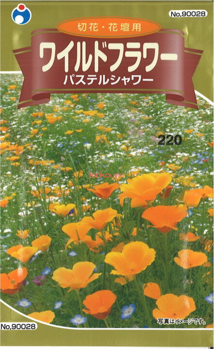 楽天市場 2 4 5 代引不可 送料5袋まで80円 ワイルドフラワー パステルシャワー 潤う ヒーリングガーデン 野生の花の種 Seed たね Tane 種 種子 花の種 ポイント消化 錦幸園 楽天市場店