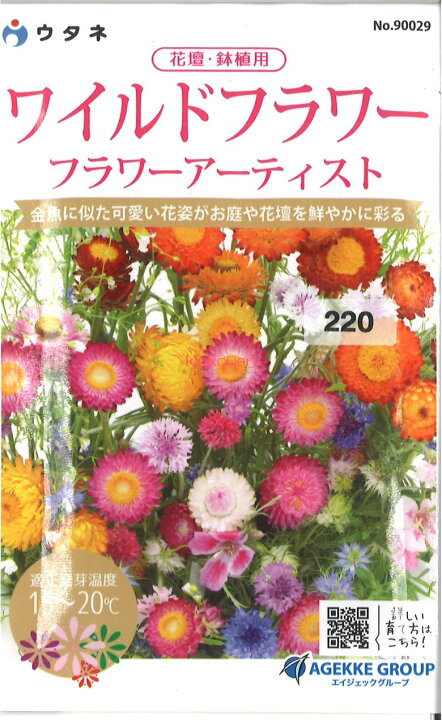 楽天市場 2 4 1 代引不可 送料5袋まで80円 ワイルドフラワー フラワーアーティスト 描く キャンパスガーデン 野生の花の種 Seed たね Tane 種 種子 花の種 ポイント消化 錦幸園 楽天市場店