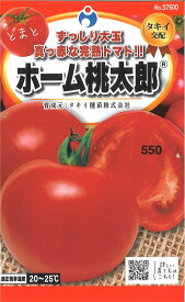 【代引不可】【送料5袋まで80円】 □ホーム桃太郎トマト