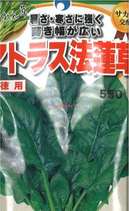 yszy5܂܂80~z seed  tane  q@AgX@@pLL qq zE\E q E^lAgX@@pLLqq zE\E q E^l seed 