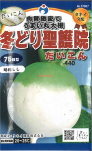 yszy5܂܂80~z seed  tane  q@~ǂ萹@卪 qq 卪 Ju q E^l~ǂ萹@卪qq 卪 Ju q E^l seed  tane  q~