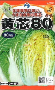 �y����s�z�y����5�܂܂�80�~�z seed ���� tane �� ��q�@�����c80 ����q��q �n�N�T�C ���q �E�^�l���c80��q��q �n�N�T�C ���q �E�^�l seed ���� tane �� ��q���c80��q��q �n�N�T�C ��