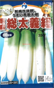 yszy5܂܂80~z seed  tane  q@ϕa`o卪 qq 卪 Ju q E^lϕa`o卪qq 卪 Ju q E^l seed  tane  q