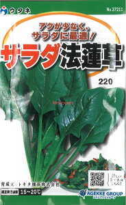 yszy5܂܂80~z seed  tane  q@T_@@ qq zE\E q E^lT_@@qq zE\E q E^l seed  tane  qT