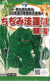 【代引不可】【送料5袋まで80円】 seed たね tane 種 種子　□ちぢみ法蓮草朝霧 ◇種子種子 ホウレンソウ 種種子 ウタネちぢみ法蓮草朝霧種子種子 ホウレンソウ 種種子 ウタネ seed たね tane 種 種子ちぢみ法蓮草朝霧種子種子