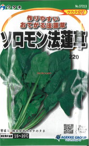 yszy5܂܂80~z seed  tane  q@\@@ qq zE\E q E^l\@@qq zE\E q E^l seed  tane  q